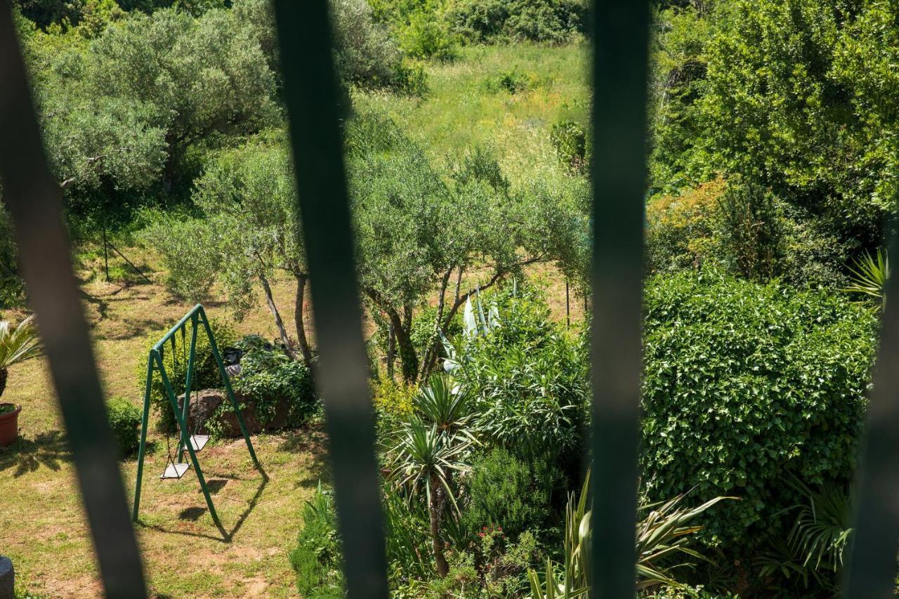 Villa Mareonda - Apartments Sussurro Rovinj Eksteriør bilde