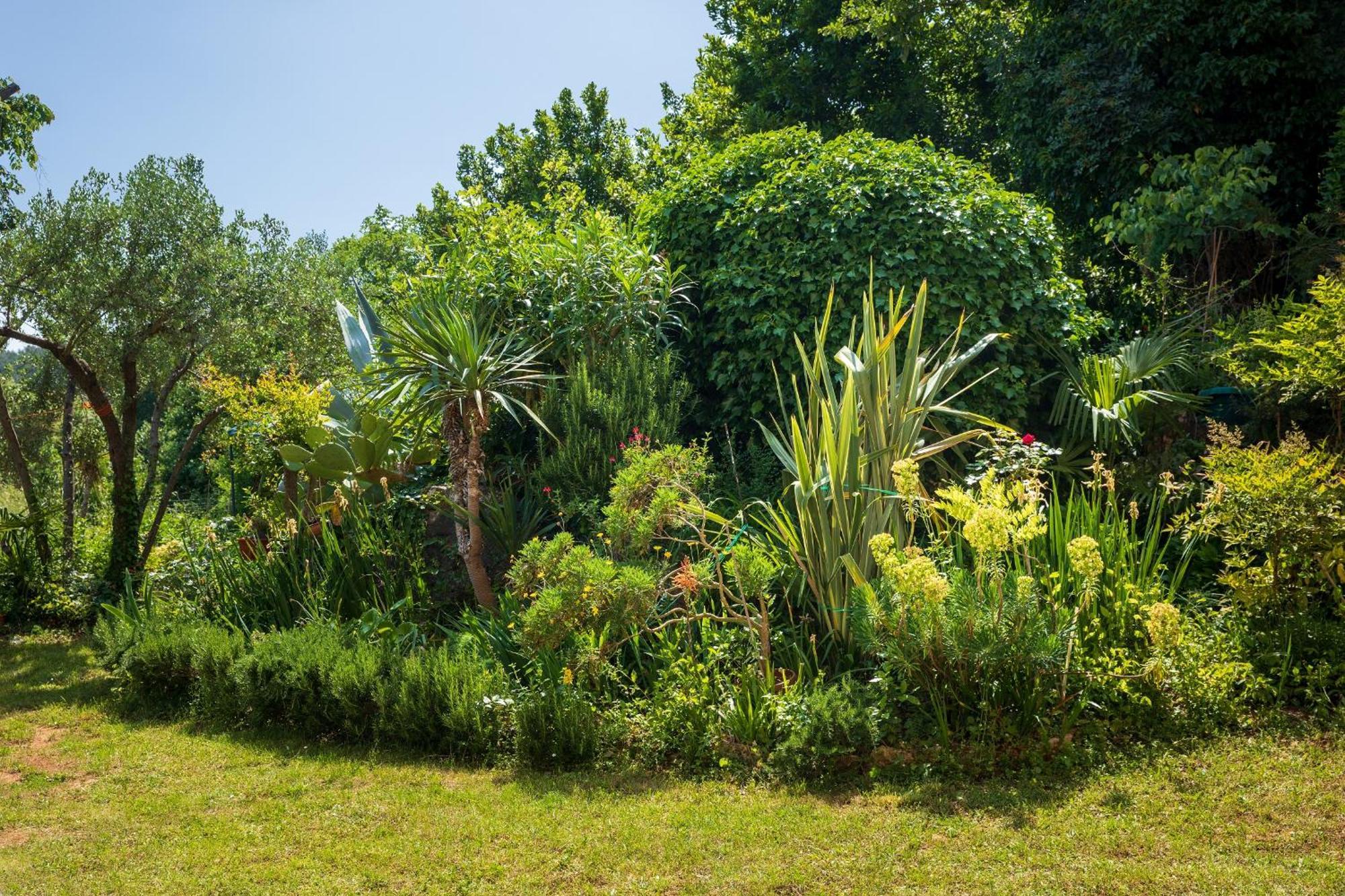 Villa Mareonda - Apartments Sussurro Rovinj Eksteriør bilde